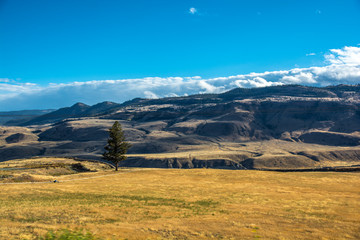Naklejka premium Wild yellow prairies. Nice view from road. Autumn in BC.