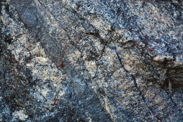 granite texture