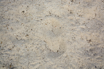granite texture