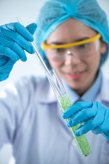 the scientist, dermatologist testing the organic natural cosmetic product in the laboratory, research and development beauty skincare concept