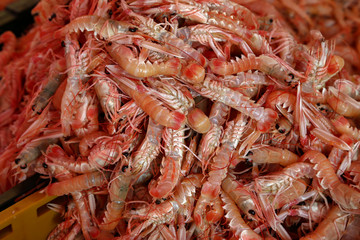 Prawns for sale at a fish market in Croatia