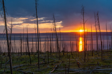 Sunset near lake Yellowstone, against a foreground of dead trees.