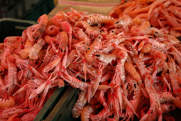 Prawns for sale at a fish market in Croatia