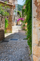 View of a narrow typical Mediterranean cobblestone street with old stone houses overgrown with vegetation and flowers in summer, Vis island, travel Croatia