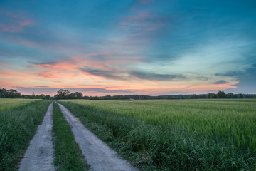 Dirt road through green fields and colorful clouds after sunset