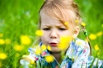 The child explores the grass in the meadow through a magnifying glass. Little girl exploring the flower through the magnifying glass outdoors