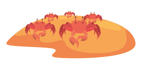 summer time holiday icon vector ilustration