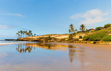 landscape beach of Lagoinha, Ceará - Brazil