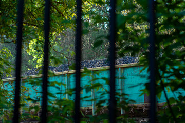 Railway carriage loaded with coal behind a fence of black metal rods.