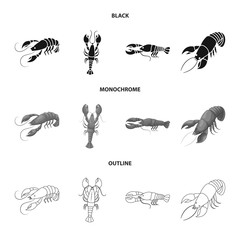 Vector design of appetizer and ocean icon. Collection of appetizer and delicacy stock symbol for web.