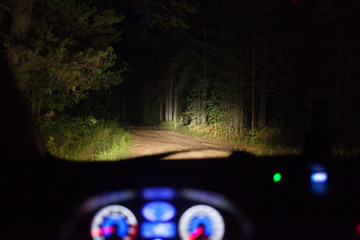 Dark forest. Night. View from the cab of the car. The concept of finding a place to hide a crime.