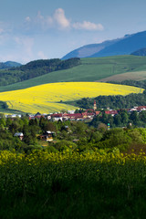 Obraz premium village in the mountains