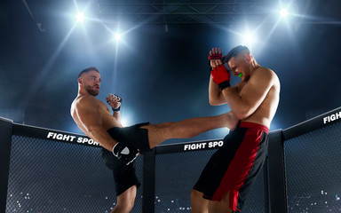 MMA fighters on ring. Fighting Championship.