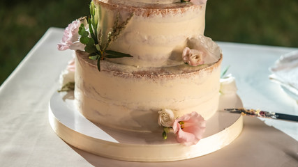 wedding cake is on the table, holiday