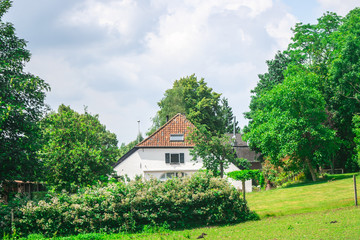 Fototapeta na wymiar A Dutch Farm house in forest