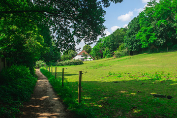 Fototapete bei efototapeten.de bestellen   