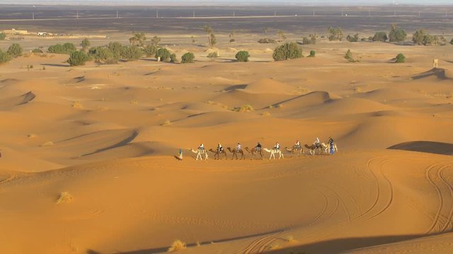 Camel trekking in Erg Chebbi desert 