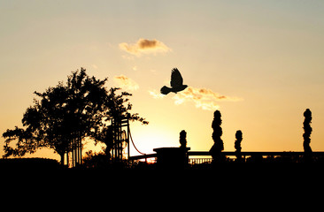 Silhouetted flying bird against a dramatic golden sunset with trees and park gate.