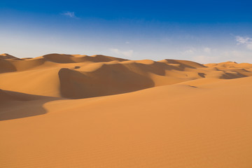 UAE. Desert  landscape