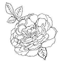 Floral coloring template with black line flower
