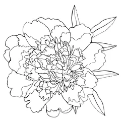 Foto op Canvas Floral coloring template with black line flower © ellinanova