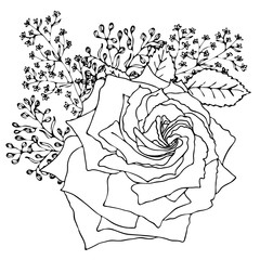 Floral coloring template with black line flower