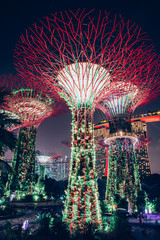 SINGAPORE, SINGAPORE - MARCH 2019: Supertrees illuminated for light show in gardens by the bay