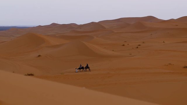 Camel trekking in Erg Chebbi desert 