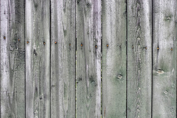 Wooden Fence Texture