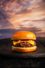 burger o hamburguesa de queso