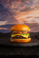burger o hamburguesa sencilla 