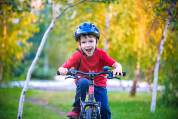 Happy kid boy of 6 years having fun in autumn forest with a bicycle on beautiful fall day. Active...