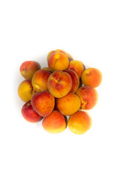 fresh apricots 