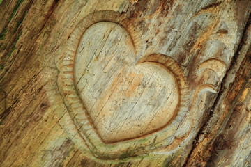 Serce z drewna
