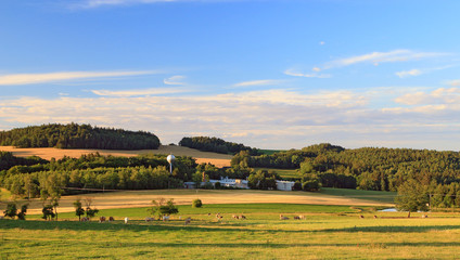 Fototapeta na wymiar Summer landscape in sunny day. Rural countryside.