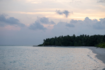 tropical beach in Maldives with few palm trees and blue lagoon