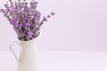 Bouquet of lavender flowers in white pot isolated on purple background.