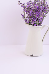 Bouquet of lavender flowers in white pot isolated on purple background.