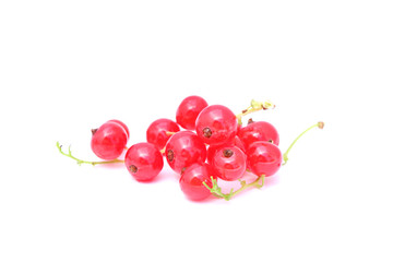Red currant isolated on white background