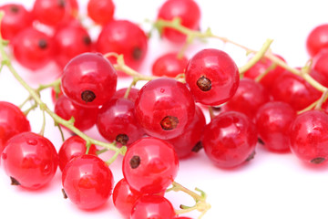 Red currant isolated on white background