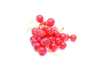 Red currant isolated on white background