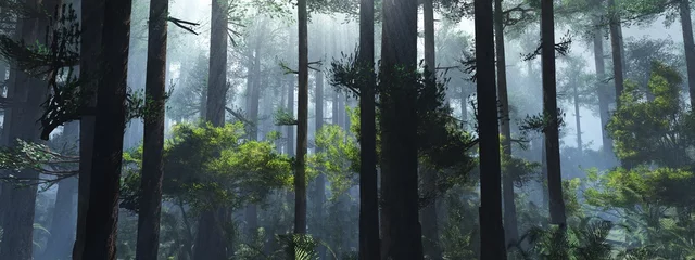 Foto op Plexiglas Bomen in de mist. De rook in het bos in de ochtend. Een mistige ochtend tussen de bomen. 3D-rendering © ustas
