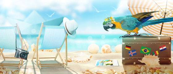Papagai im Urlaub am Strand