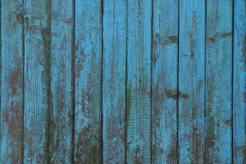 blue wooden texture from frayed old planks in the wall of the fence
