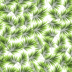 Palm trees. Tropical plants seamless pattern. Vector image.