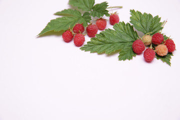 raspberry berries with green leaves isolated on a white background with copy space for text. Healthy food.