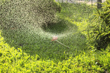 Effect of splashing water from the sprinkler on grass