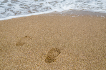 Footprints in the sand on the seashore, the ocean.