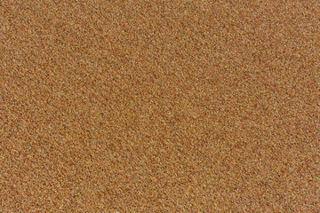 Texture of the wet sand for background