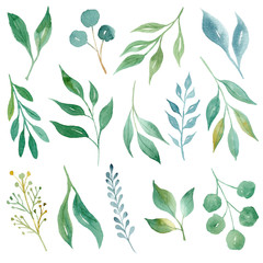 Green leaves hand drawn watercolor raster illustration set